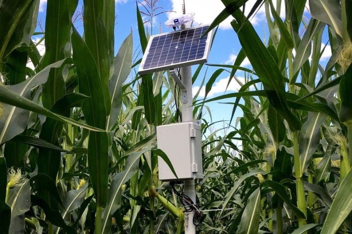 Irrigation Sensor in Field.jpg